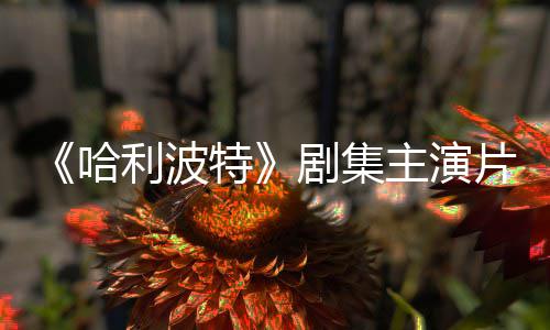 百万剧集就成特第二季利波主演片酬曝光哈富翁